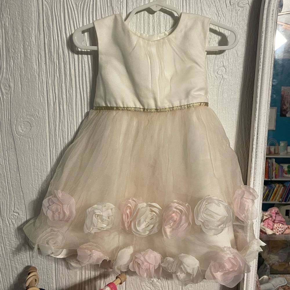 Toddler Girl’s Formal Ivory and Blush Floral Tulle Dress
